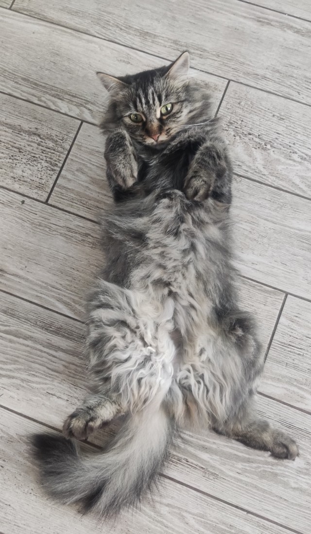 Пока успел.