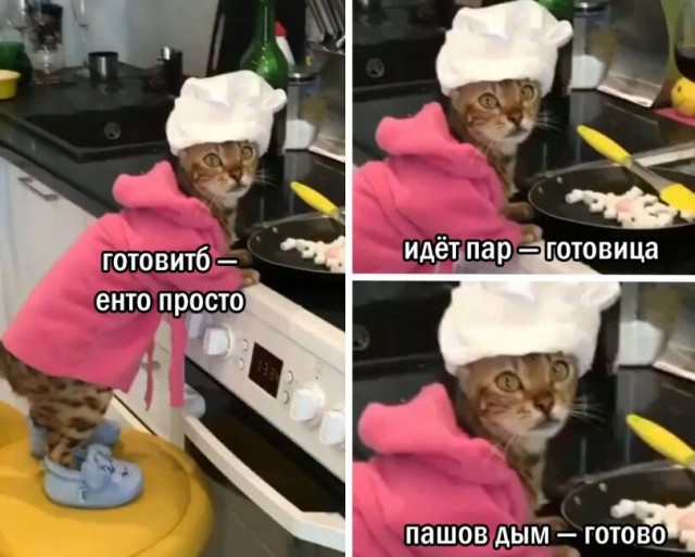 Картинки для деградации 60 (разной степени свежести)