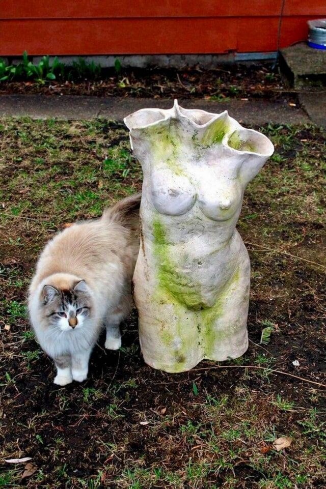 Эх пятницо картинки же