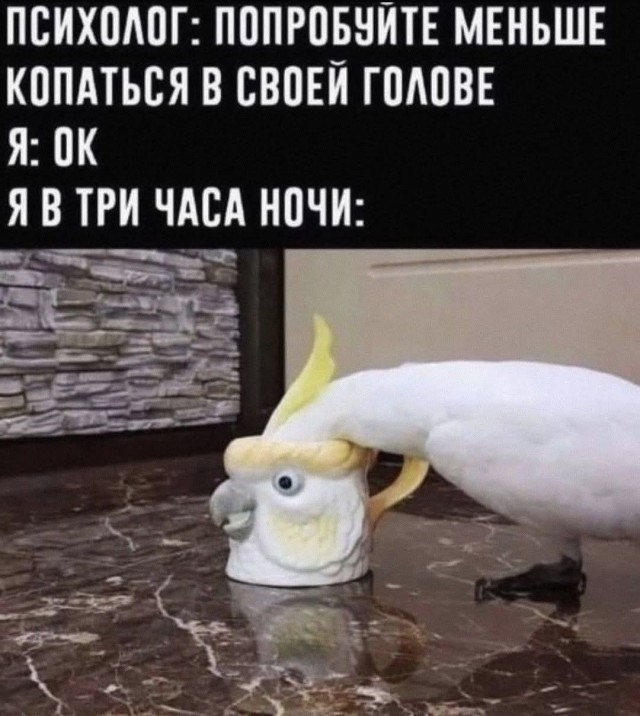Маленькая пятница 10.12