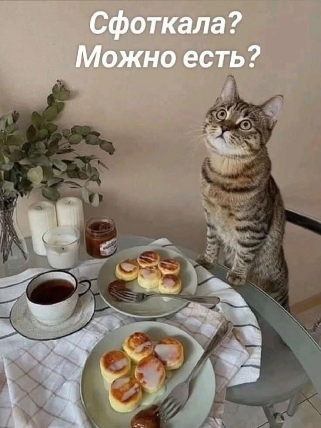 Среды картинки