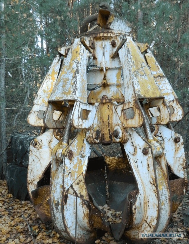 26.04.1986-26.04.2026