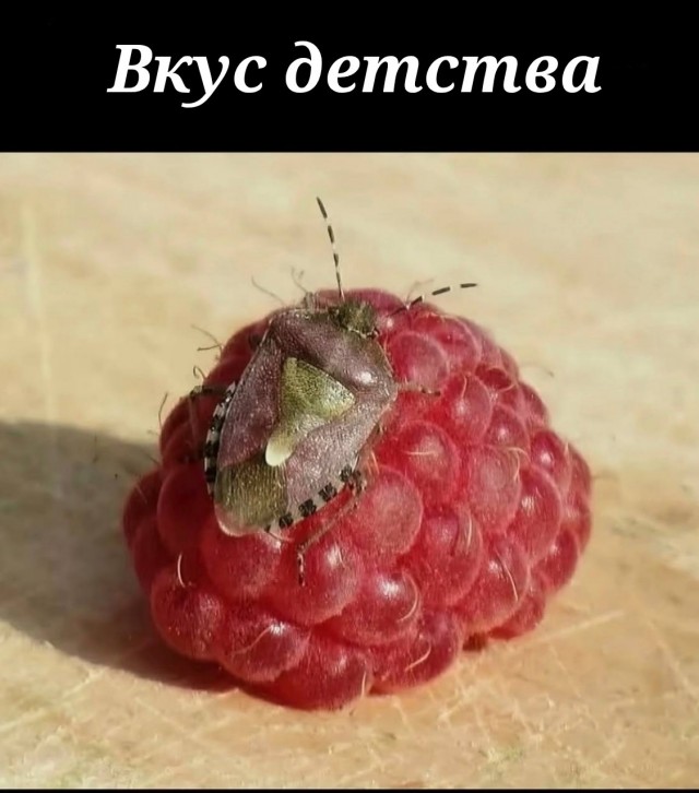 Так себе картинки 11.07.26