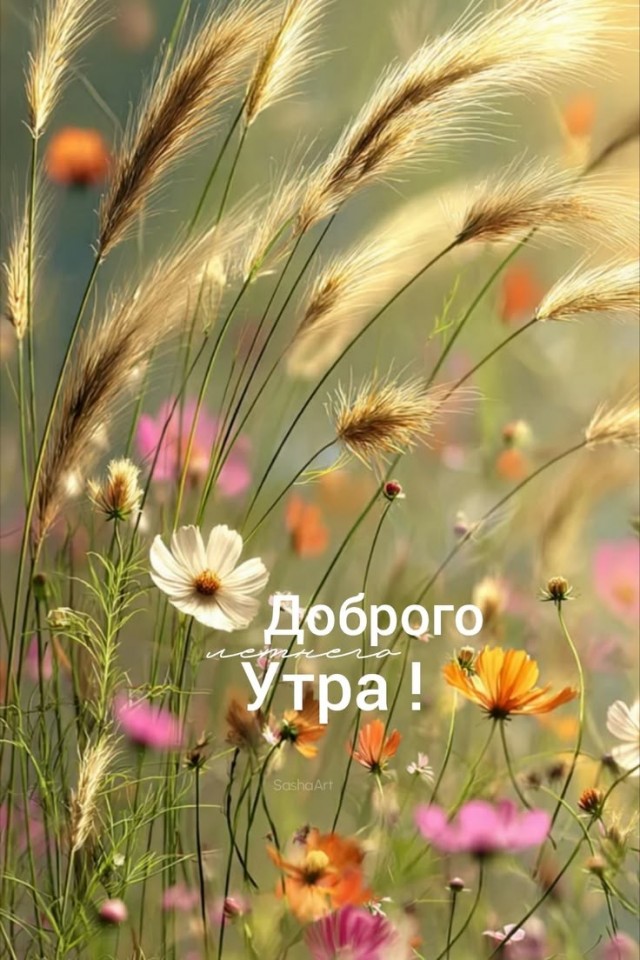 Прикольные и просто красивые картинки 24.07.2026