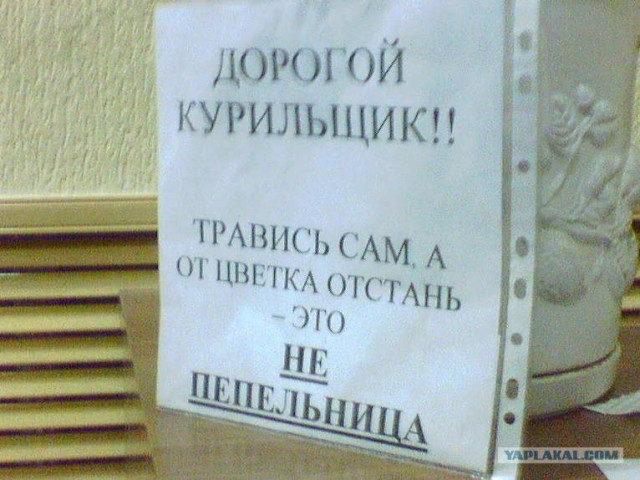 Смешные картинки, снятые на мобильник