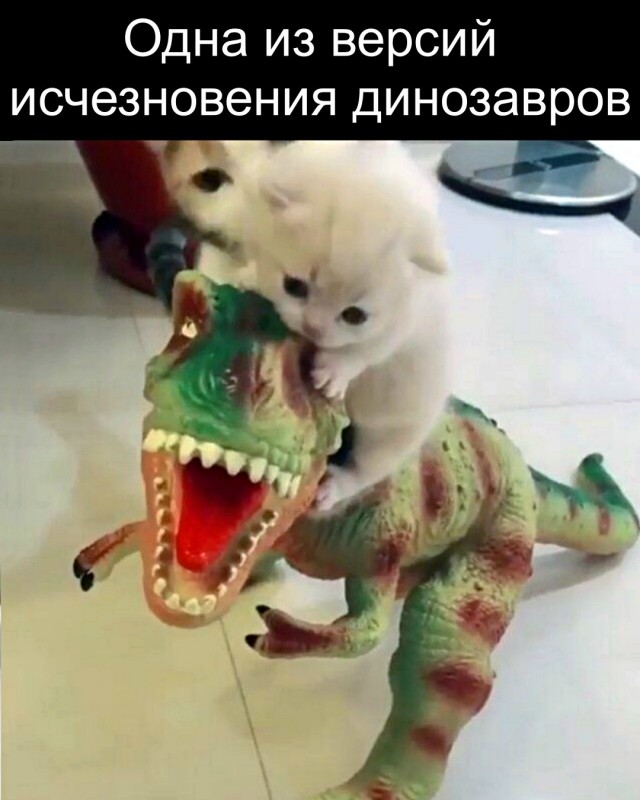Так себе картинки 01.09.26