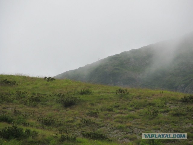 В горах. Абхазия.