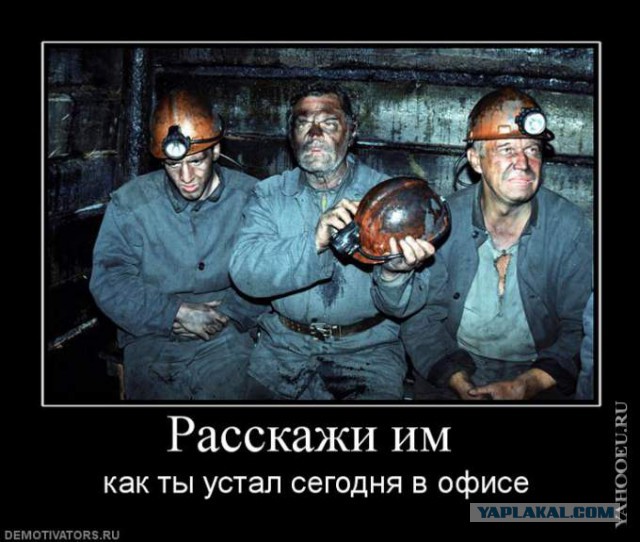 Мозг ватника, или почему я не либераст