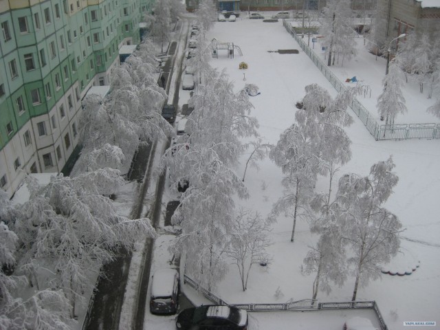 Апрель 2012