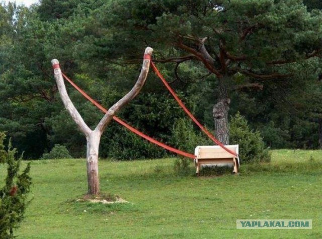 Прикольная история: