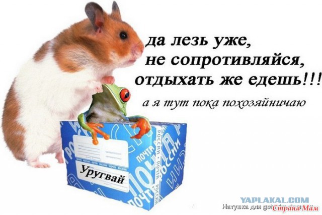 Электронная сигарета. Тест и сравнение