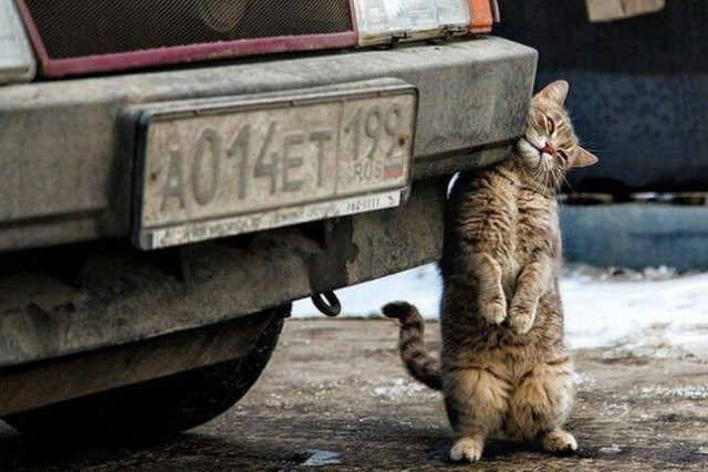 Автомобили и Люди