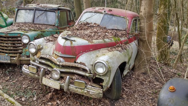 Неандерталь автомобильный