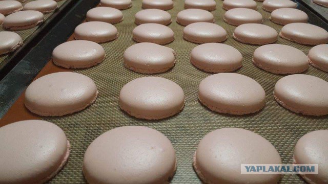 Макаруны домашние