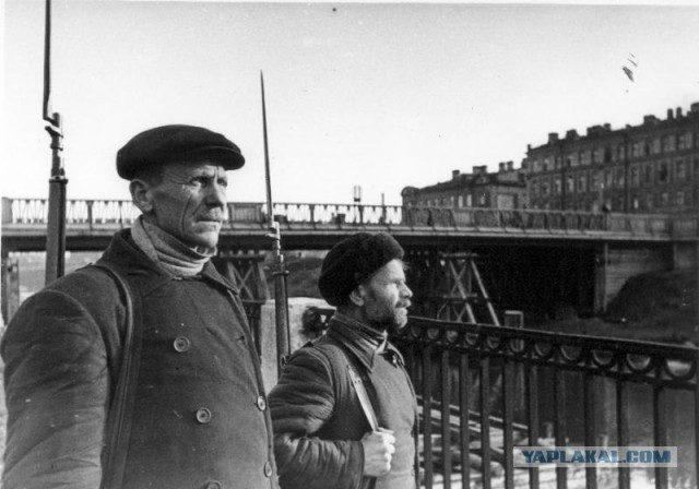 С Днём Победы, ленинградцы!