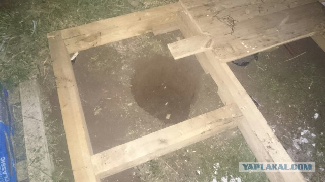 Дачный туалет + душевая один из вариантов