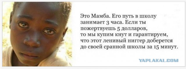 Власти построили металлическую лестницу для школьников, рисковавших жизнью каждый день, добираясь до школы