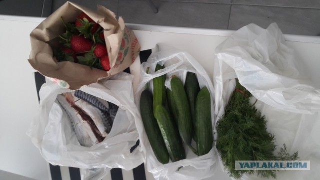 Настоящая Испания изнутри: экономим на продуктах питания, как можем