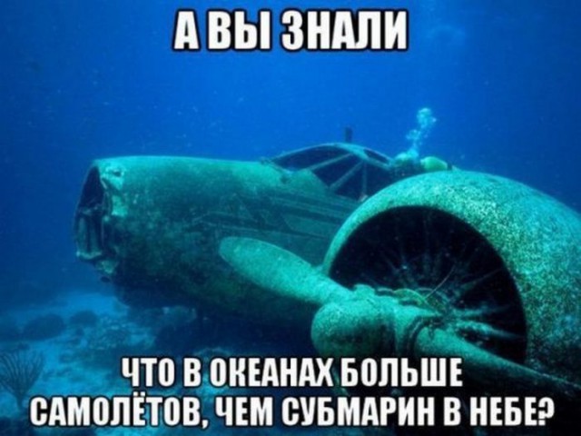 Подборка интересных и веселых картинок