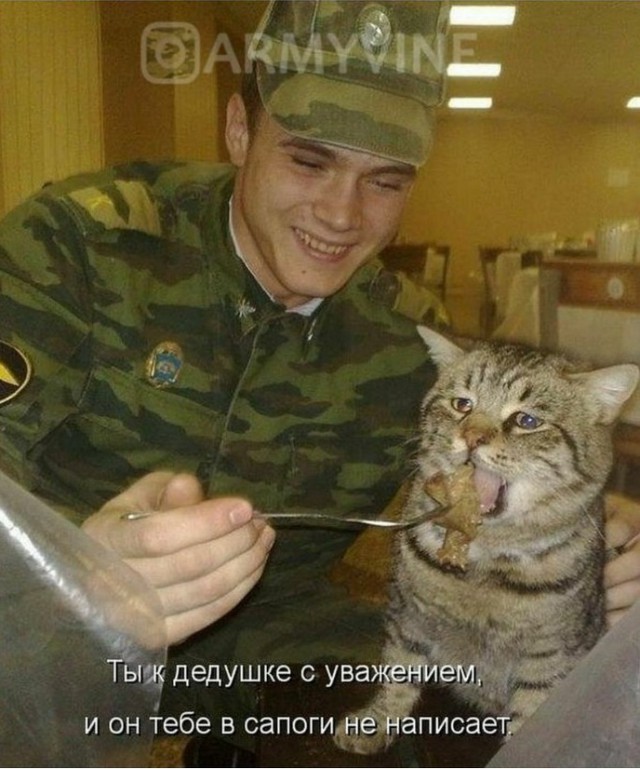 Армейский юмор, суровый и беспощадный