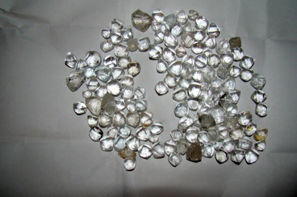 Бриллиантовая жопа