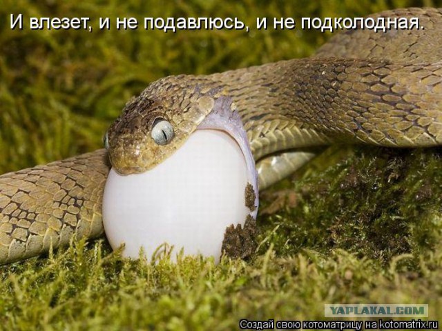 Мужчина "для здоровья" или все о том же