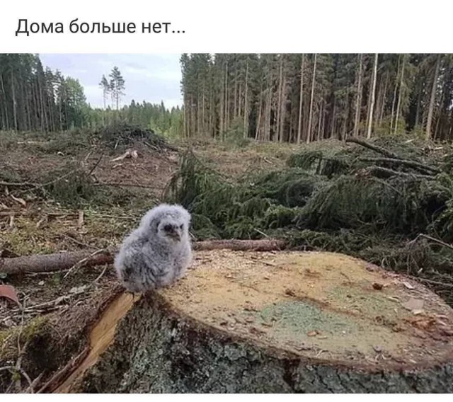 Подборка интересных и веселых картинок