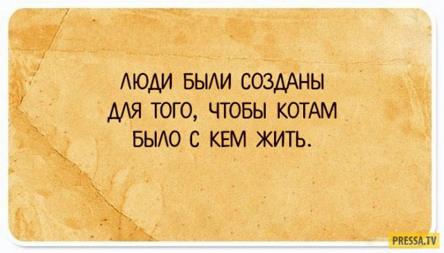 Картинки юморные и тексты