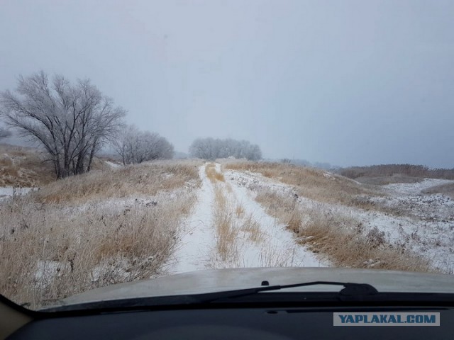 Плов с курицей
