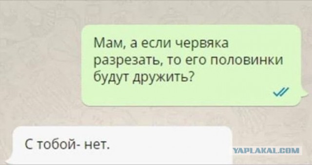 Прикольные комментарии и высказывания из Сети 05.12.2018