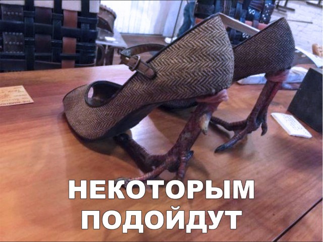 Нестандартный юмор
