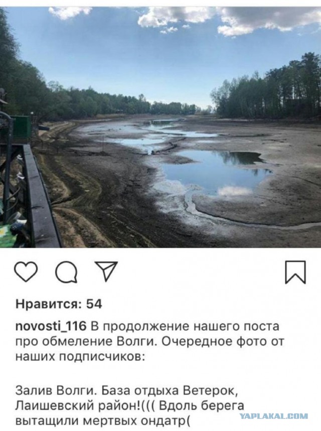 Обмеление Волги грозит экокатастрофой