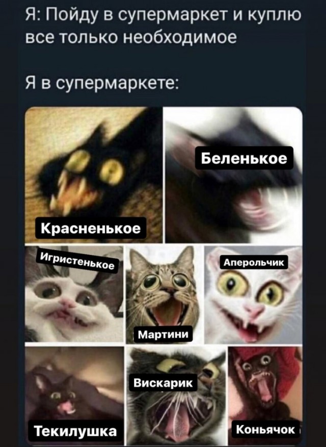 Немного картинок для настроения 20.11.19