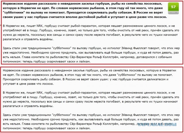 В Норвегии испугались «русских лососей»