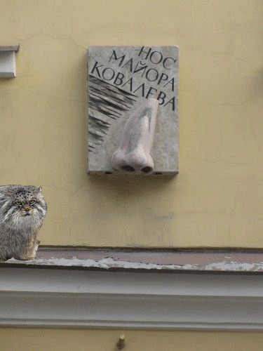 Нос Майора Ковалева