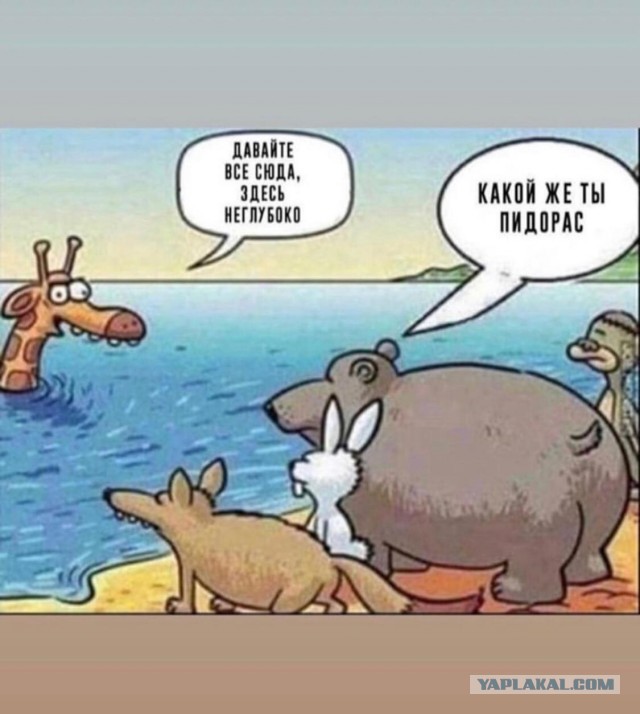 На злобу дня
