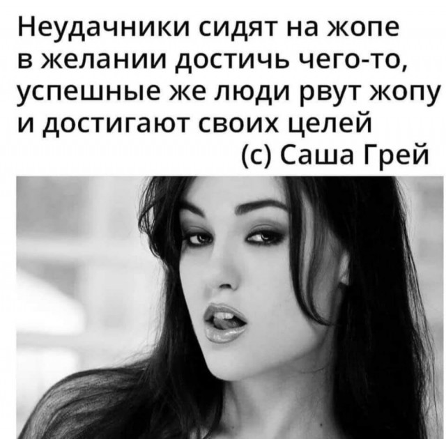 15033189.jpg