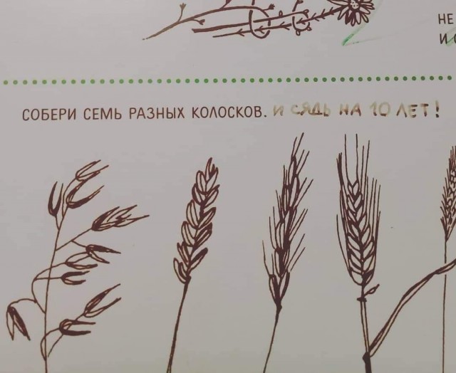 Кретинизмы из ЛМ и ЛЩ 21.02.21