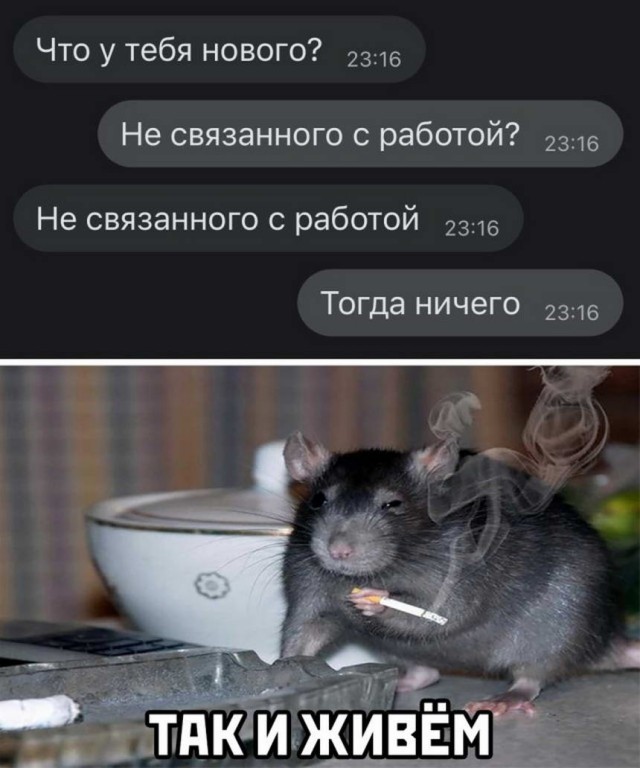 Картинки и мемы для настроения