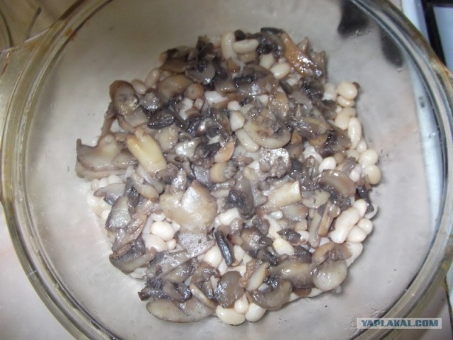 Фасоль – International, Или «Веселые нотки»