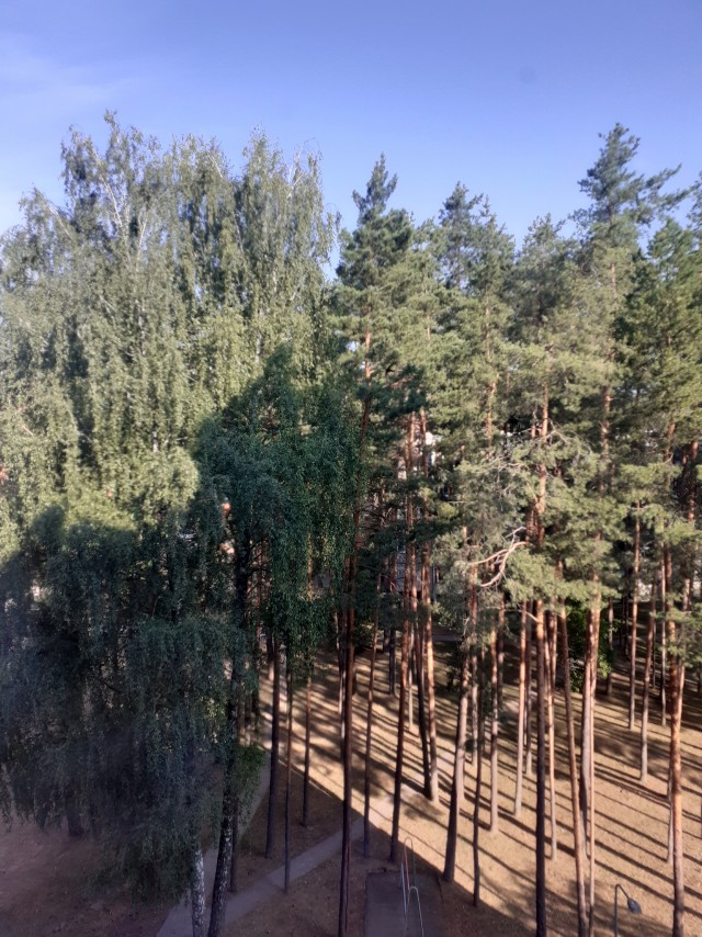 Это Владивосток! А у вас какое утро?