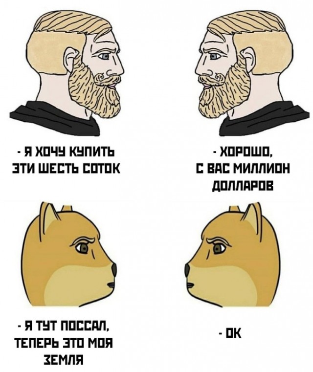 Весёлый полтишок 5.08.21