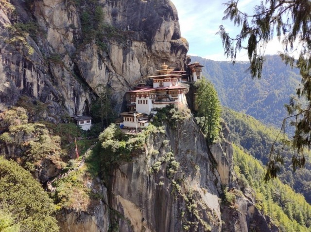 Картинки и мемы для настроения 05.08.2021