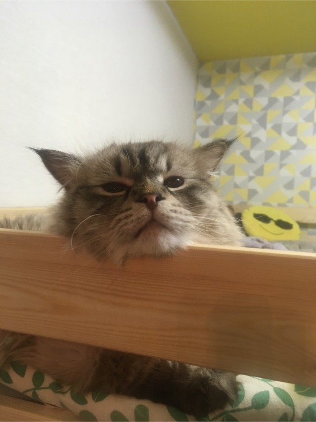 Одного фото пост