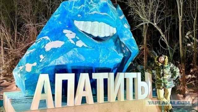 Кто как встречает НГ?