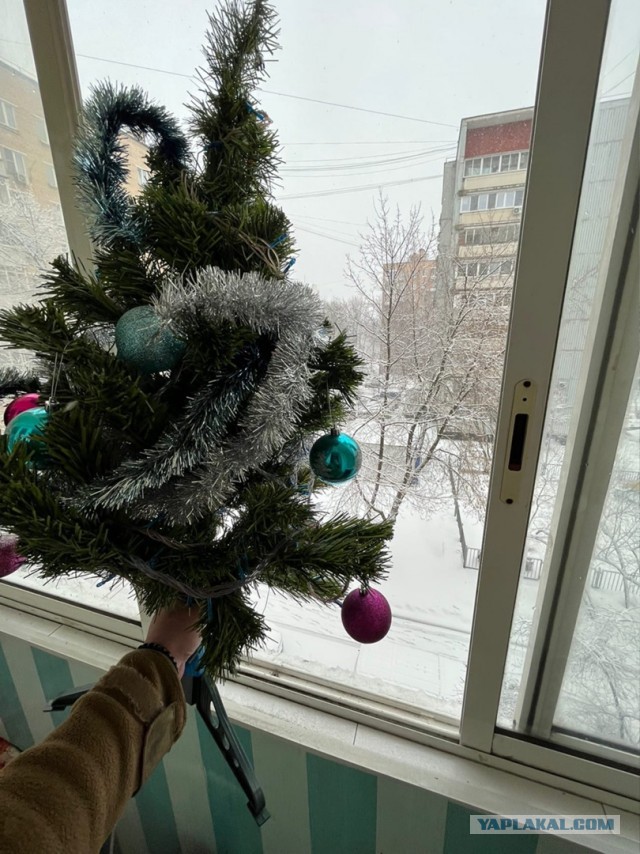 А какая у Вас сегодня весна за окном?!