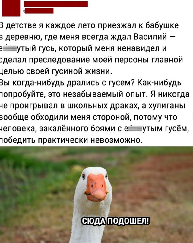 Так себе картинки 26.05.22