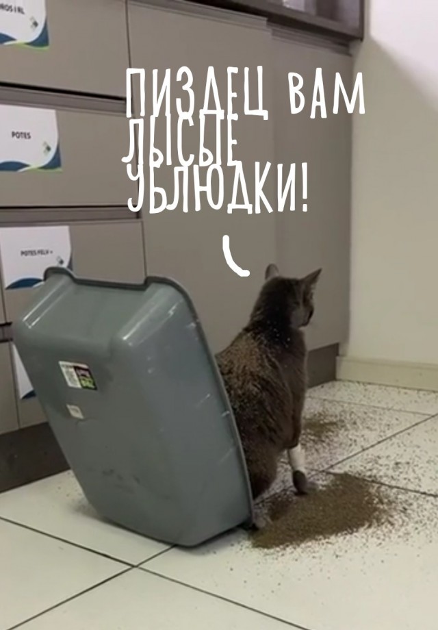Неуклюжий пофигист