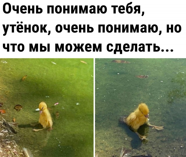 Так себе картинки 12.12.21