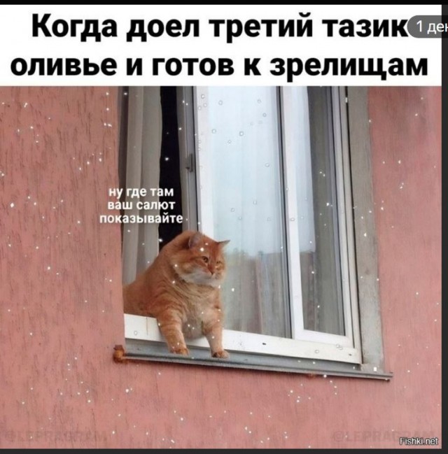 Победная поступь идиотизма по планете – том 5